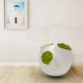 Dekorativ Moon Design Vase Lavet i Italien