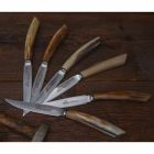 2 bøfknive med håndtag i oxhorn eller træ fremstillet i Italien - Marino Viadurini
