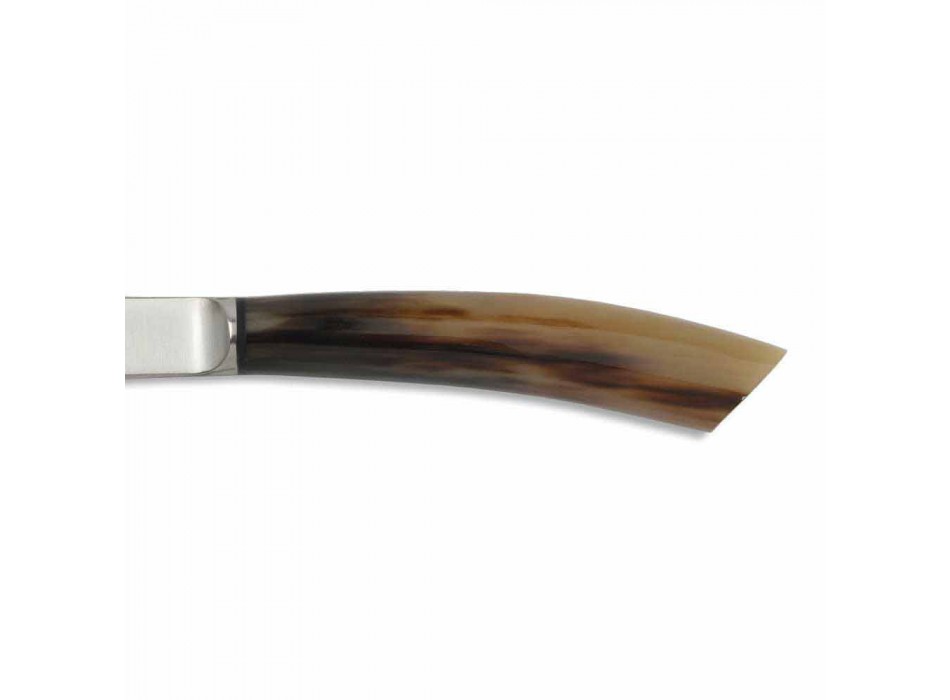 2 bøfknive med horn eller træhåndtag fremstillet i Italien - Marino