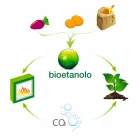 Hvid væg Bio-pejs med moderne design med Erica-glasindsats Viadurini