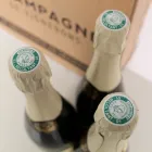 Champagne Cuvee eksklusivt til Viadurini 3 flaske pakke "Champagne de Vignerons" Viadurini