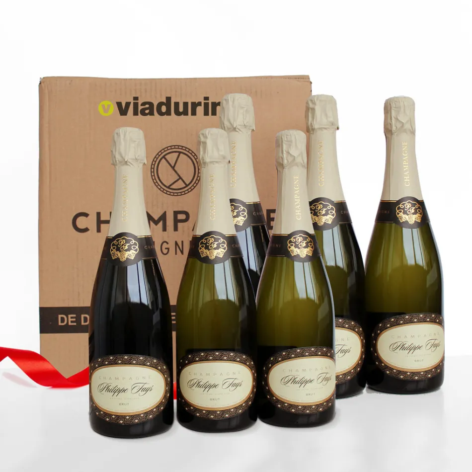 Champagne Cuvee eksklusiv til Viadurini pakke med 6 flasker "Champagne de Vignerons" Viadurini