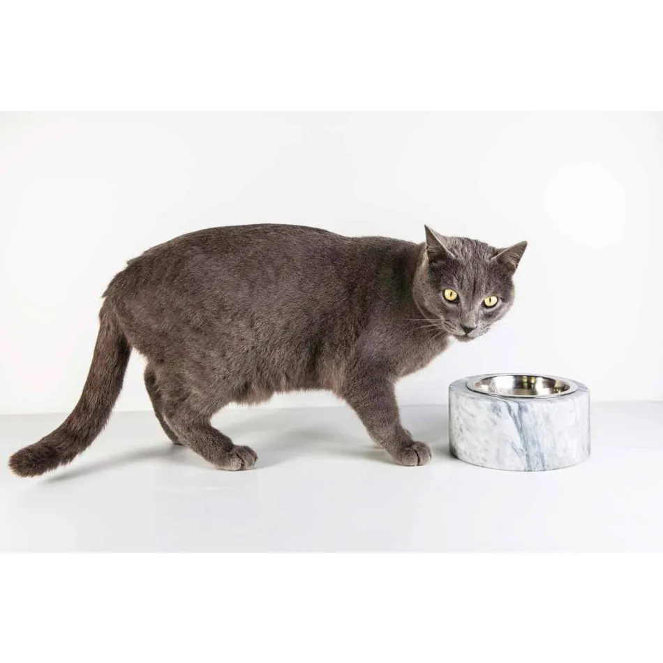 Hunde og katte skål i hvid Carrara-marmor fremstillet i Italien - Ciotta Viadurini