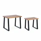 Sammensætning af 2 kaffeborde i hjemmet i træ og stål - Artur Viadurini