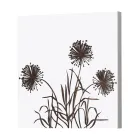 Sammensætning af 4 paneler med hortensiaer, allium og thyfa lavet i Italien - Beregning Viadurini