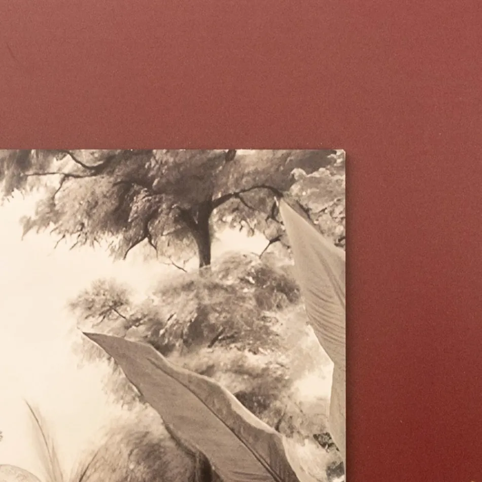 Sammensætning af træmalerier med elefanttryk lavet i Italien - Patagonien Viadurini