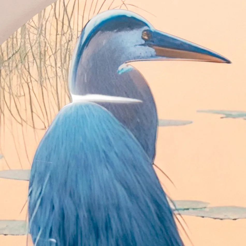 Sammensætning af træmalerier med fugletryk lavet i Italien - Belize Viadurini