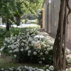 Havegulvlampe Hvidt aluminiumsdesign med åkandeblad - Cipriam Viadurini