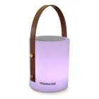 Bærbar udendørs designlampe med flerfarvede lysdioder, Bluetooth-højttaler og fjernbetjening (IP44) Viadurini