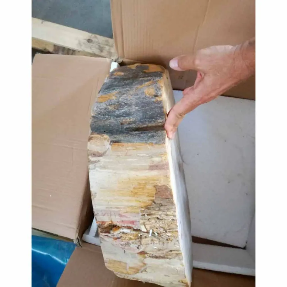 Wooden håndvask Fossil Counter Goa enkelt stykke Viadurini