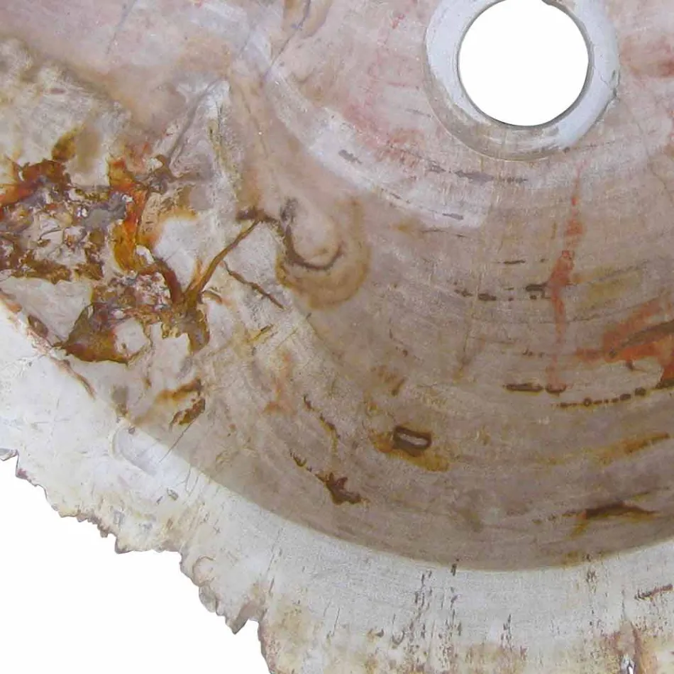 Wood Fossil vask køkkenbordet Goa enkelt stykke Viadurini