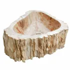 Wood Fossil vask køkkenbordet Goa enkelt stykke Viadurini