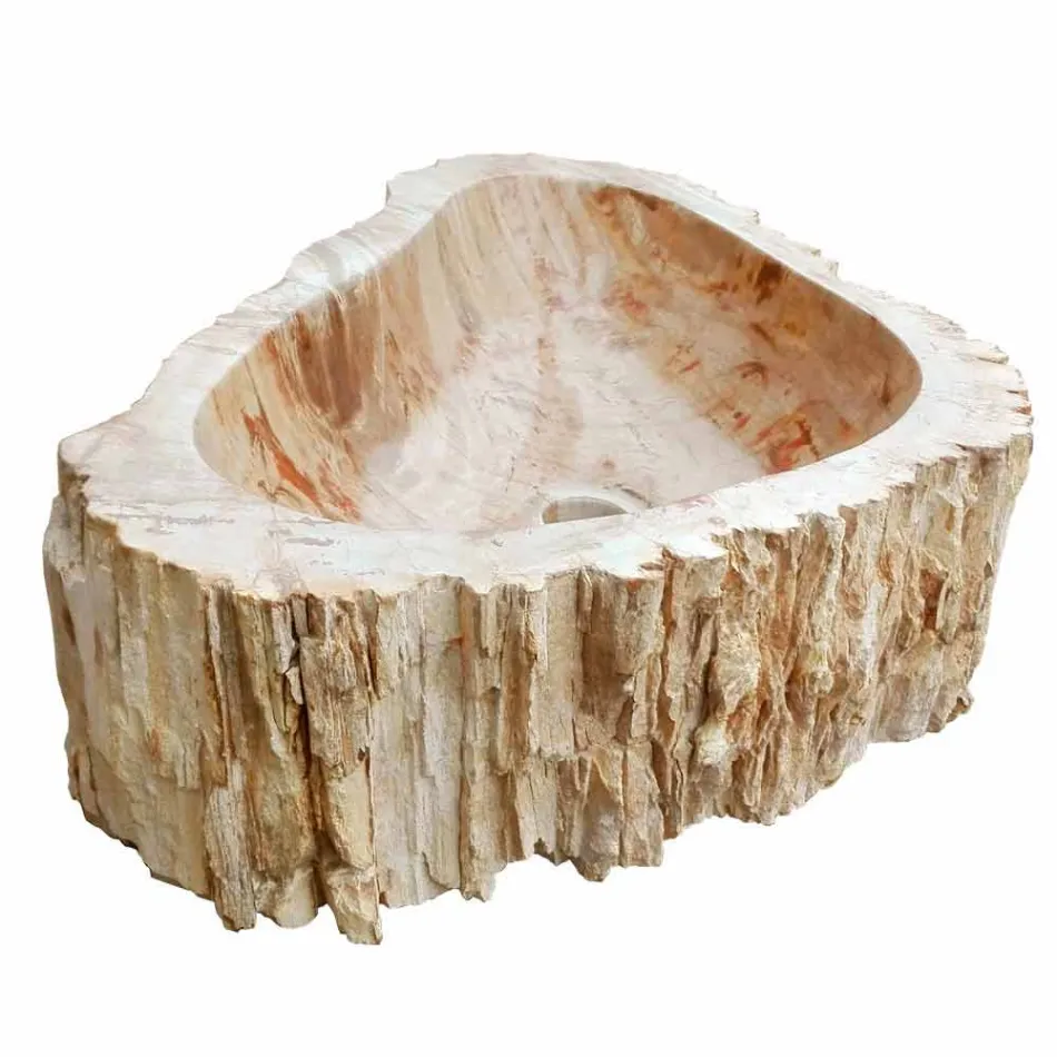 Wood Fossil vask køkkenbordet Goa enkelt stykke Viadurini