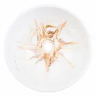 Designstøtteservant i gyldent harpiks - Dogliola Viadurini