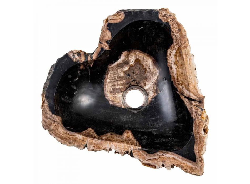 Stående håndvask af fossilt træ, Neirone Viadurini