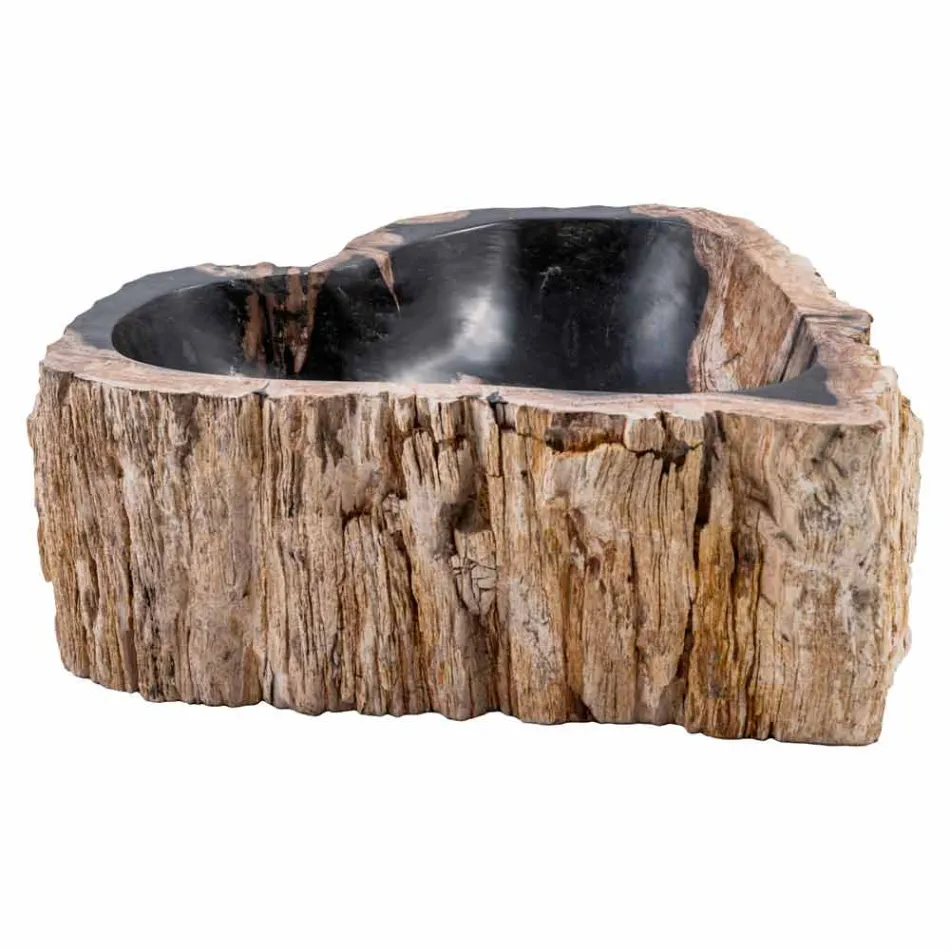 Stående håndvask af fossilt træ, Neirone Viadurini