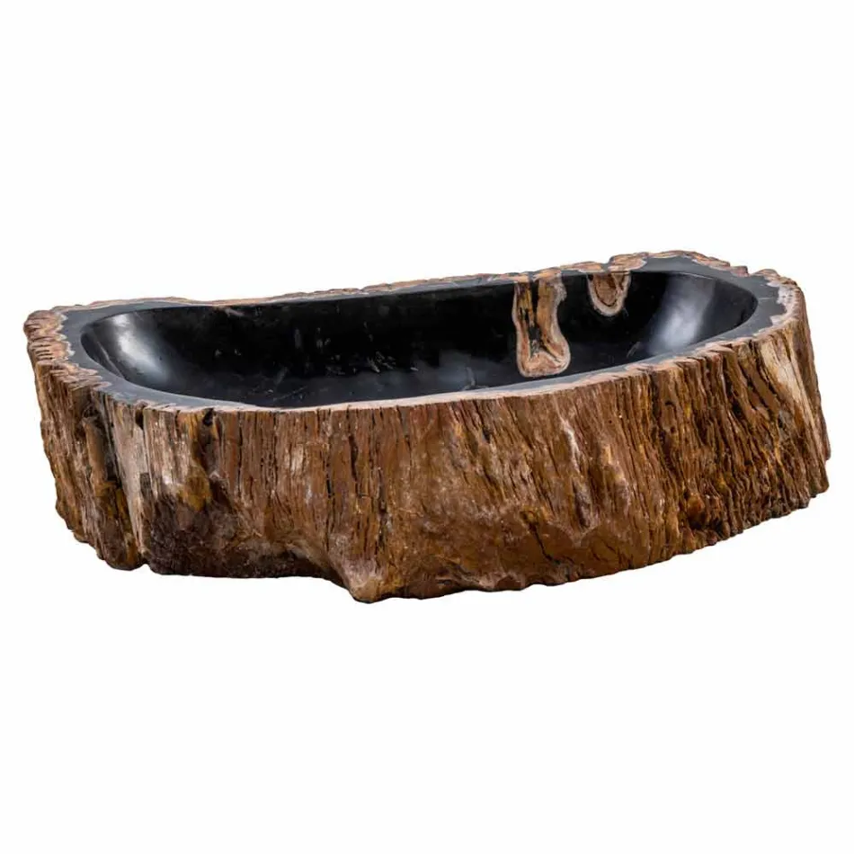 Moderne håndlavet bordplade lavet af fossilt træ, Negrar Viadurini