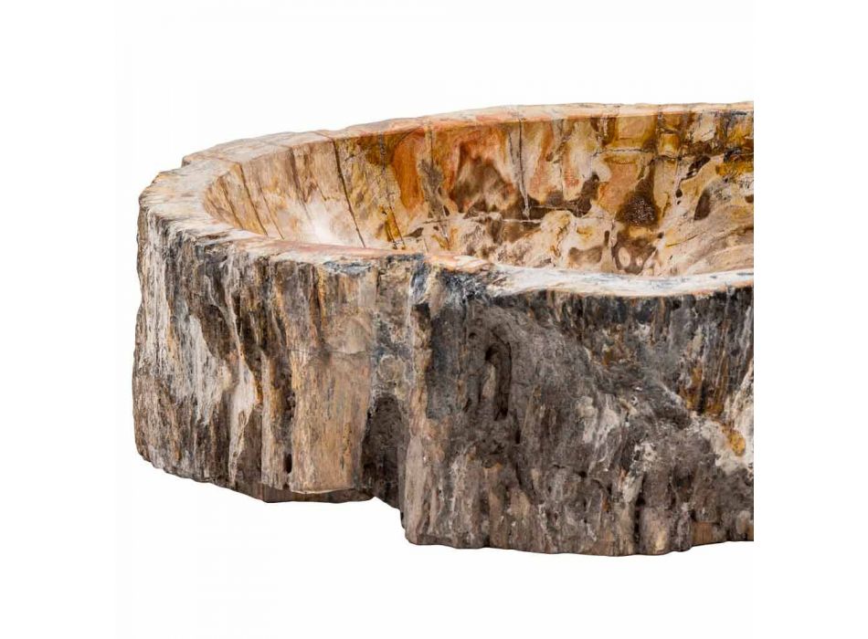 Håndlavet vask i fossilt træ, Neviglie Viadurini