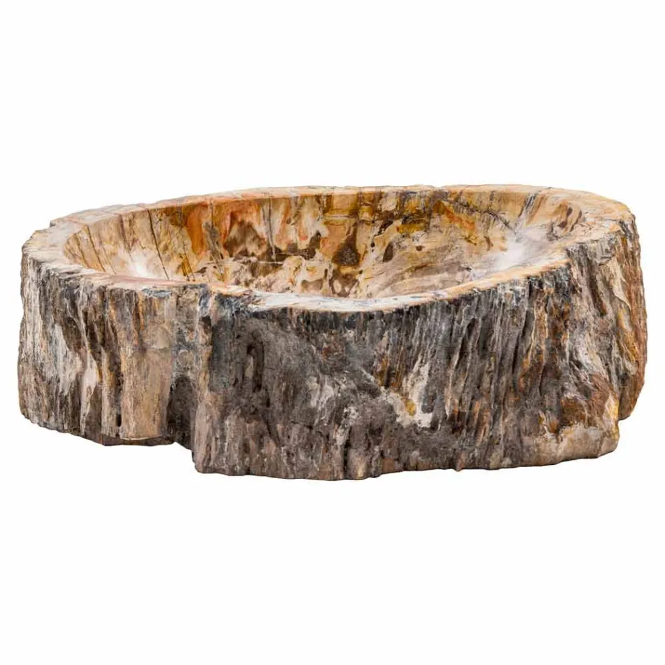 Håndlavet vask i fossilt træ, Neviglie Viadurini