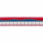 En og en halv madras i luksushukommelse H 25 cm fremstillet i Italien - platin Viadurini