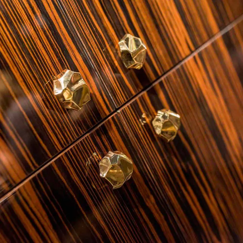 Moderne Mobile beholder med 4 døre i poleret ibenholt træ Ada Viadurini