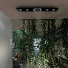 Loftlampe med flad glasplade med sænkning - Kora Viadurini