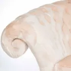 lænestol bearbejdet quiltet kunstskind Balma Viadurini