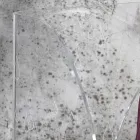 Paraplystativ i transparent laserdekoreret akrylkrystal - Versio Viadurini