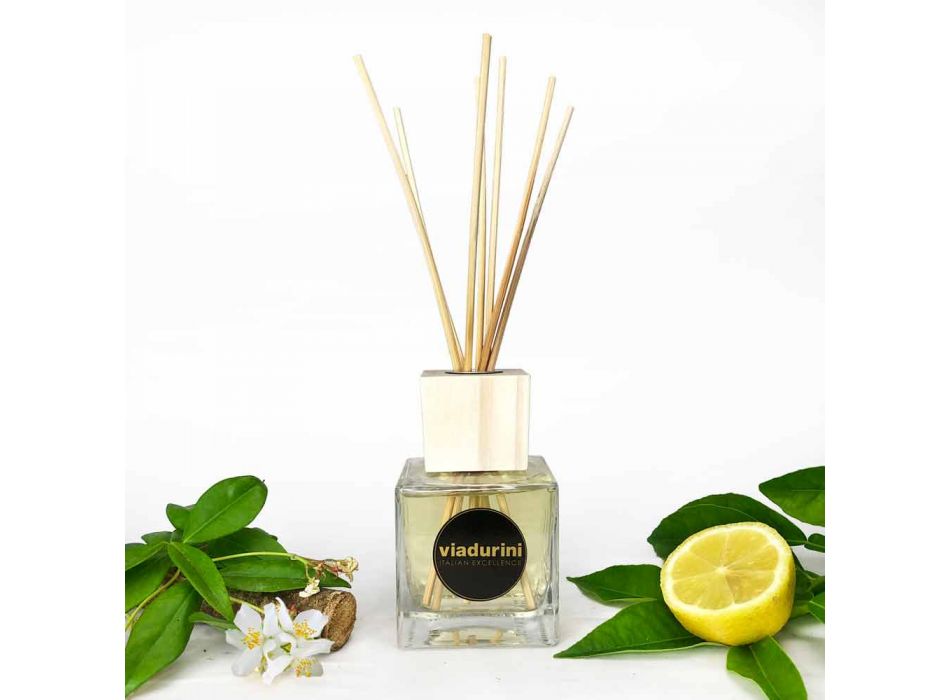 Læder Fragrance Room Parfumer 200 ml med Sticks - Lavecchiavenezia Viadurini