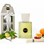 Room Fragrance Mandarin and Cinnamon 2,5 Lt with Sticks - Lamaddalena Viadurini