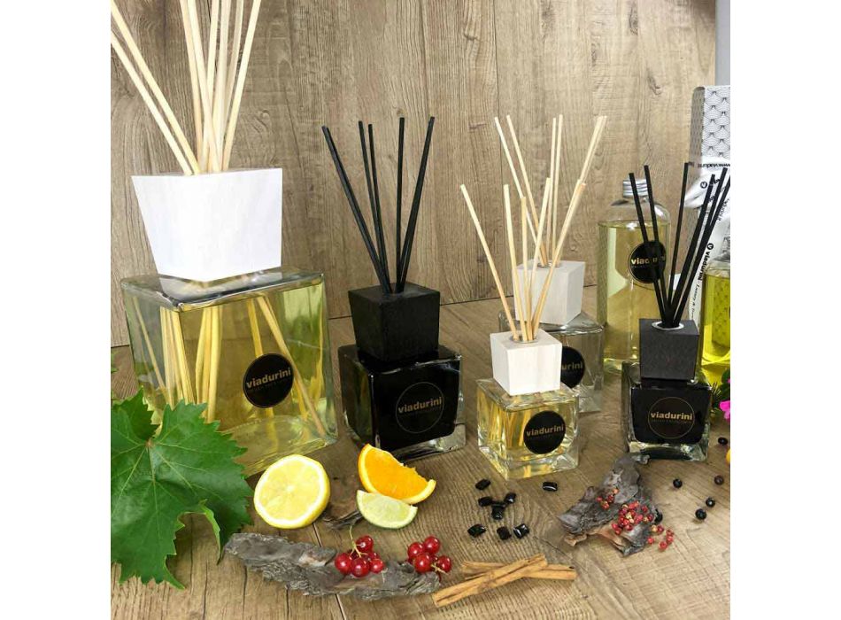 Vanilje og Mou Room Fragrance 500 ml med Sticks - Sabbiedelsalento Viadurini