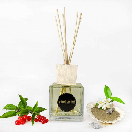 Vanilje og Mou Room Fragrance 500 ml med Sticks - Sabbiedelsalento Viadurini