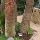 Rund spotlight med LED udendørs i rustfrit stål - Dakota Viadurini