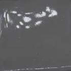 Keramisk roset til lamper sammensætning Battersea 975ST - Toscot Viadurini