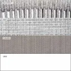 Udendørs stol med armlæn Stablet polstret H 78cm - Smart af Varaschin Viadurini