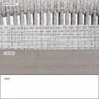 Stabelbar udendørs stol med polstret armlæn H 73cm - Smart af Varaschin Viadurini