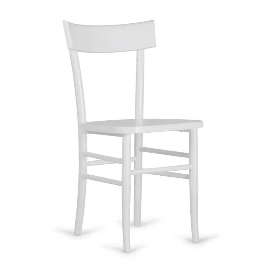 Moderne design 4-delt bøgetræ stol - Stella Viadurini