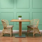 Stol til haven i naturrattan med pude inkluderet - Torvi Viadurini