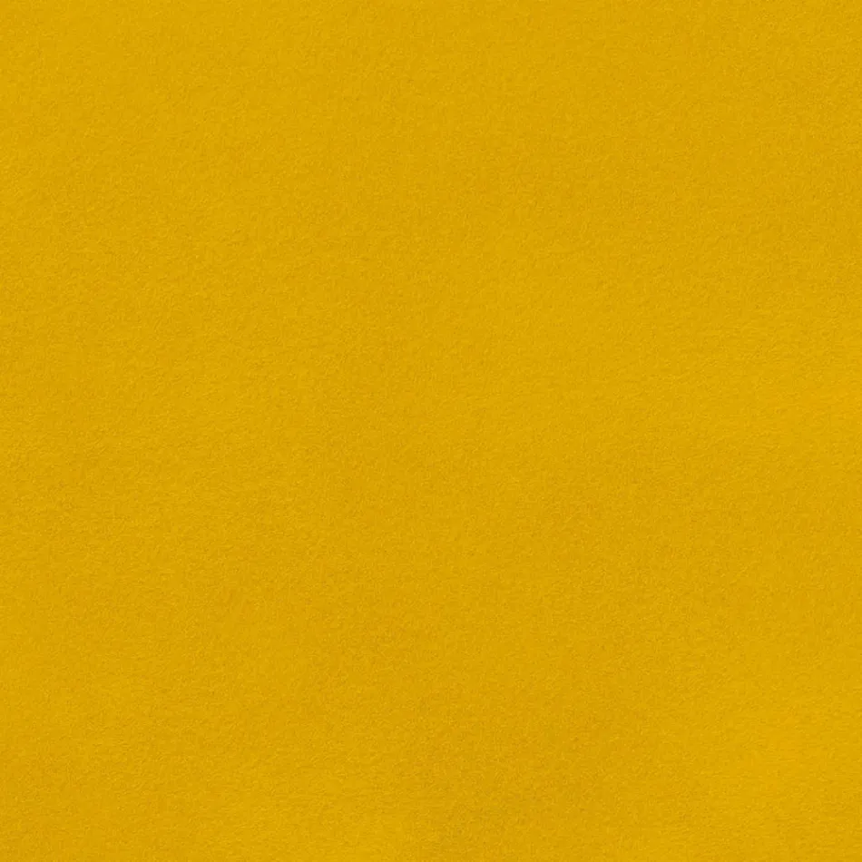 Spisestuestol i fløjl med sorte metalben, 4 stykker - Hanna Viadurini