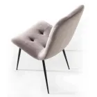 Pletbestandig polstret spisestol i fløjl, 4 stykker - Kylie Viadurini