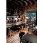 Fremstillet i Italien Træ- og polypropylen-spisestole, 2 stk. - kløver Viadurini