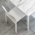 Sæt med 4 udendørs og indendørs stole i polypropylen i forskellige farver - bygget Viadurini