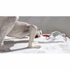 Tyreformet ornament i rødt og gennemsigtigt glas fremstillet i Italien - Torero Viadurini