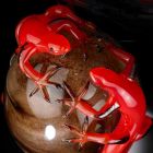 Farvet glaspynt i form af et æg med gekko lavet i Italien - Huevo Viadurini