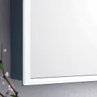 Væg spejl 2 moderne container døre, LED belysning, Adele Viadurini