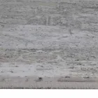 Designer tæpper i viskose og akrylgrå beige med design - præsident Viadurini