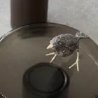 Sofabord med glasplade og metalbund Lavet i Italien - Batulla Viadurini