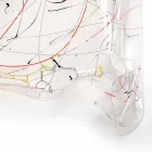 Moderne bord lavet af flerfarvet plexiglas lavet i Italien, Asien Viadurini