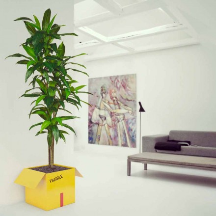 Tabel holder Magasiner Fragile Mabele Viadurini