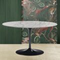Tulip Eero Saarinen H 41 Sofabord med oval plade i Carrara marmor Statuarietto - Scarlet